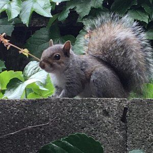 Meet your Posher, Adrienne